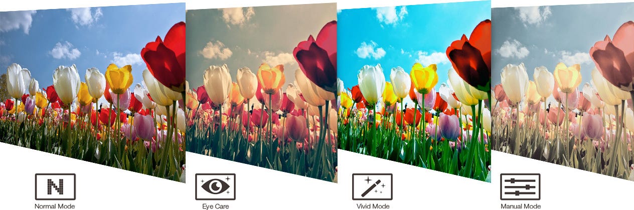 ASUS Splendid Technology for immersive, life-like visuals